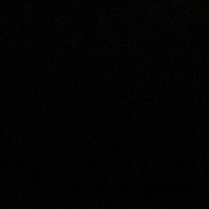 Meet your Posher, Maddie